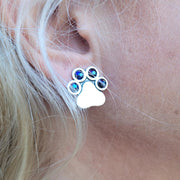 Personalized 4-Crystal Paw Print Studs, Sterling Silver You Are My Shining Light Post Earrings