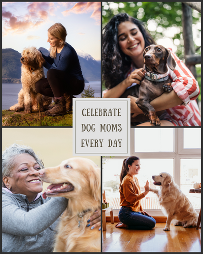 Best Mother’s Day Gifts for Dog Moms