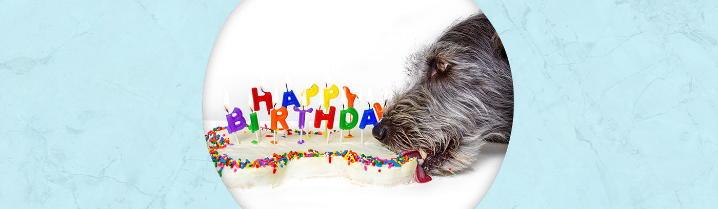 Birthday