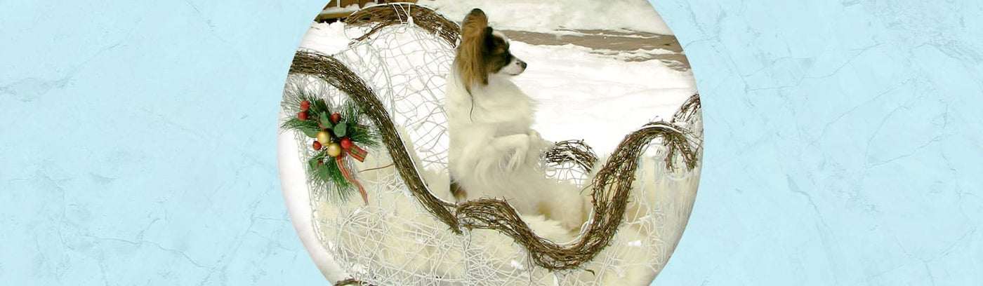 Christmas/Holiday