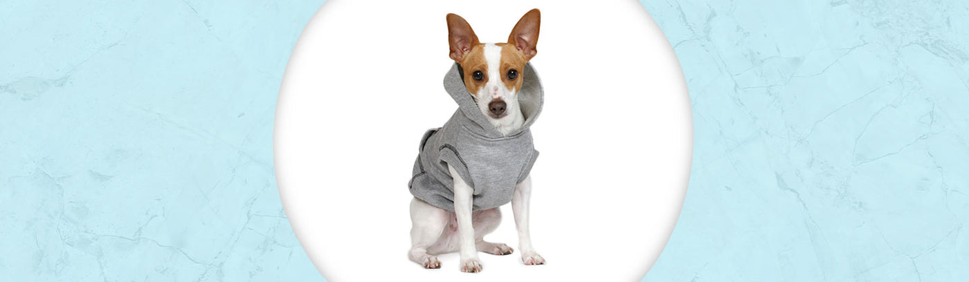 Rat Terrier Jewelry
