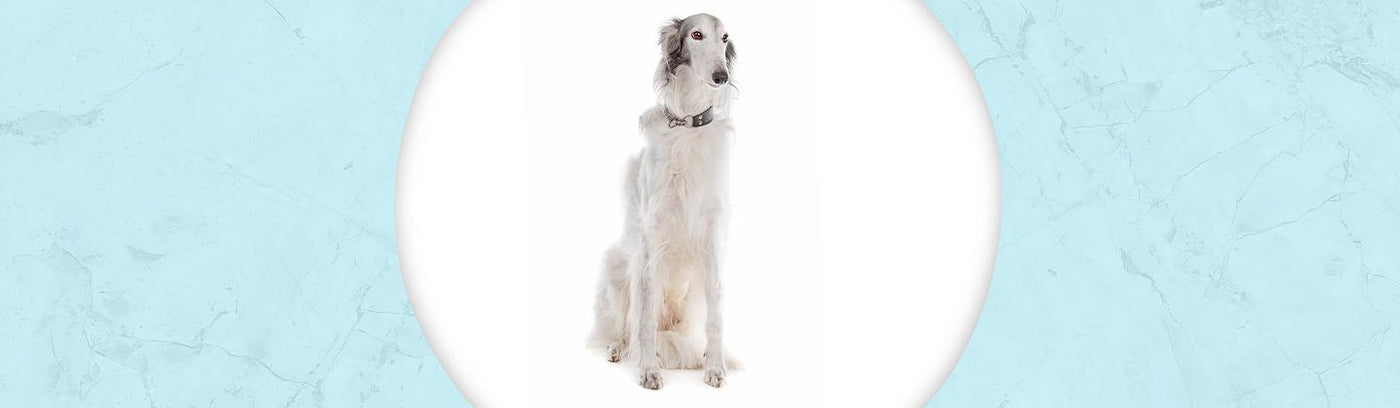 Silken Windhound Jewelry