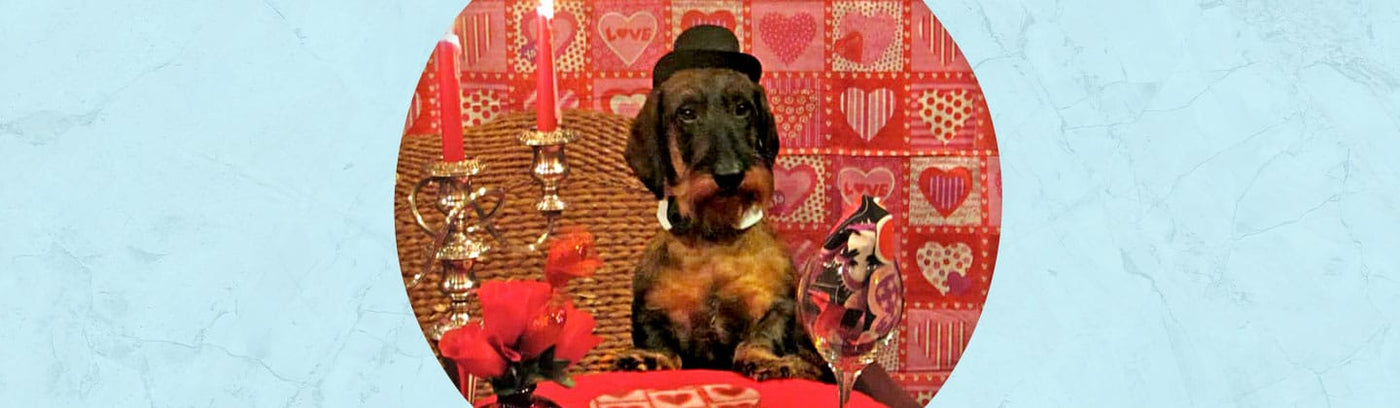 Valentine's Day