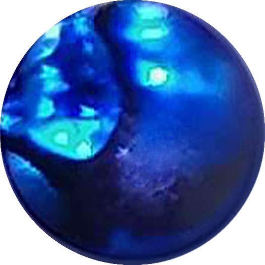 8mm Round Blue Paua Shell