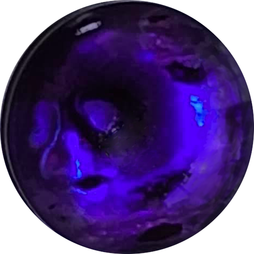8mm Purple Paua Shell Purple