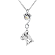 Boxer Necklace Head Design with Aurora Borealis Crystal in Sterling Silver on Box Chain.