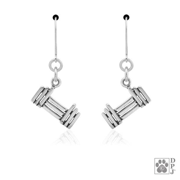 Wing jump earrings on leverbacks in sterling silver, Cool agility jewelry